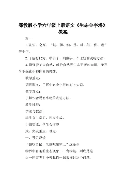 鄂教版小学六年级上册语文《生态金字塔》教案