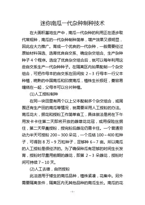 迷你南瓜一代杂种制种技术