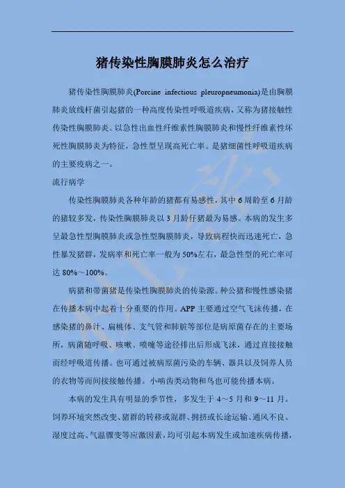 猪传染性胸膜肺炎怎么治疗