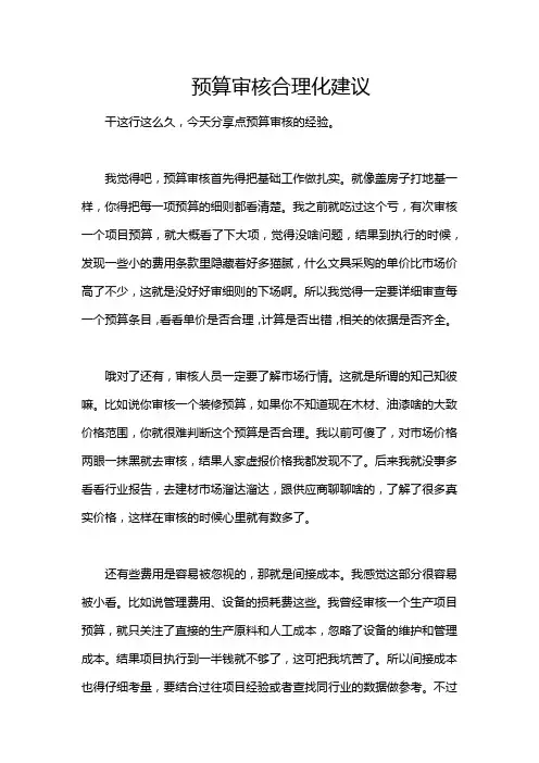 预算审核合理化建议