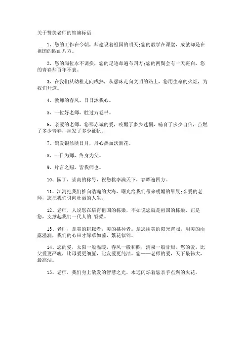赞美老师的锦旗标语