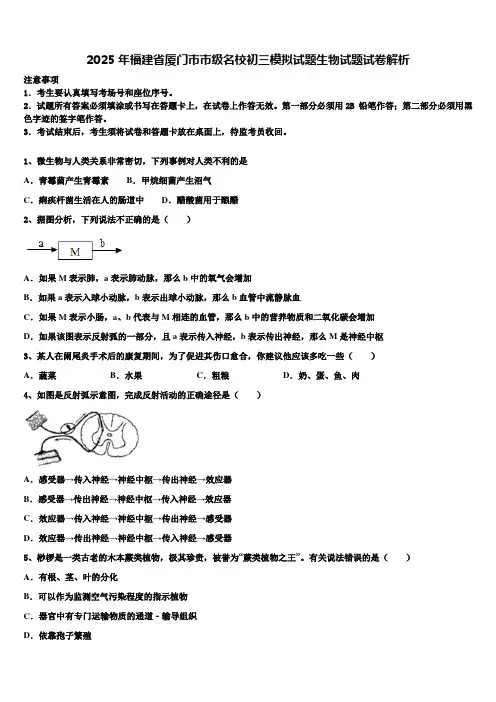 2025年福建省厦门市市级名校初三模拟试题生物试题试卷解析含解析