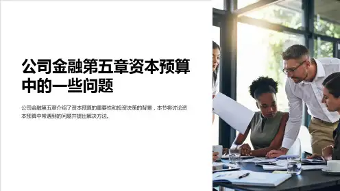 公司金融第五章资本预算中的一些问题