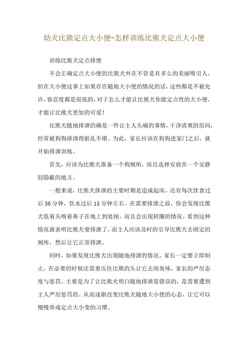 幼犬比熊定点大小便-怎样训练比熊犬定点大小便