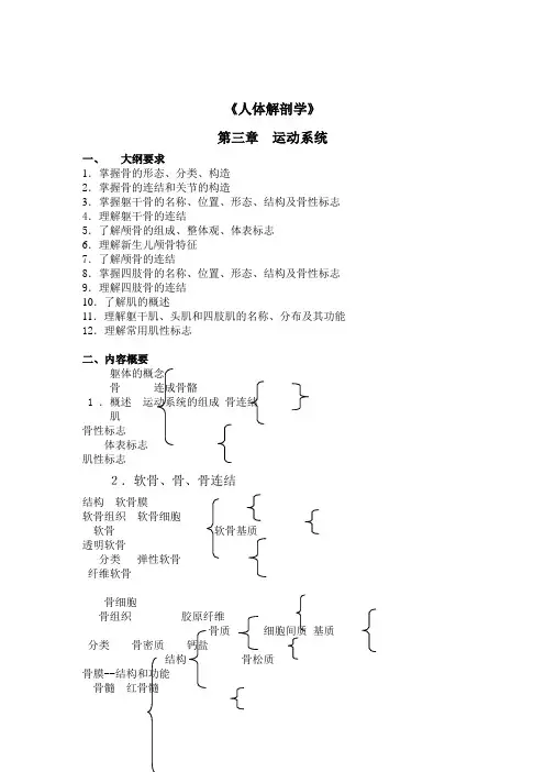 人体解剖学课后习题运动系统(含答案)