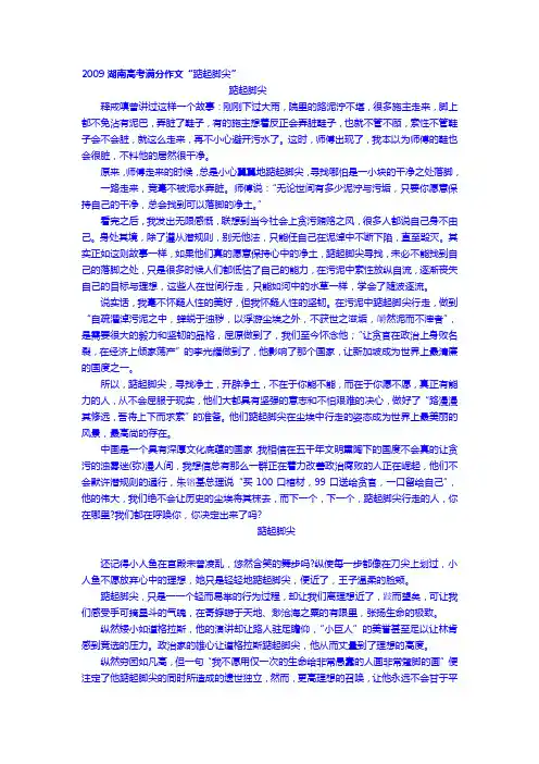 2009湖南高考满分作文“踮起脚尖”