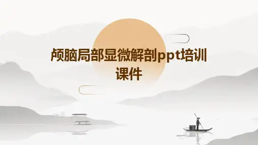 颅脑局部显微解剖PPT培训课件