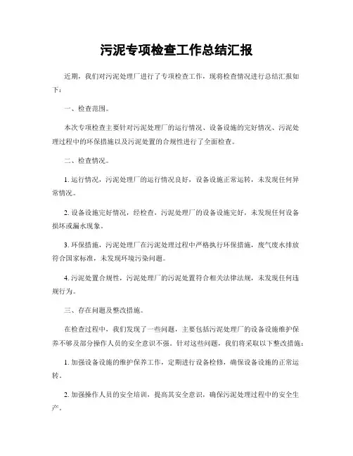 污泥专项检查工作总结汇报