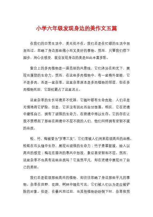 小学六年级发现身边的美作文五篇
