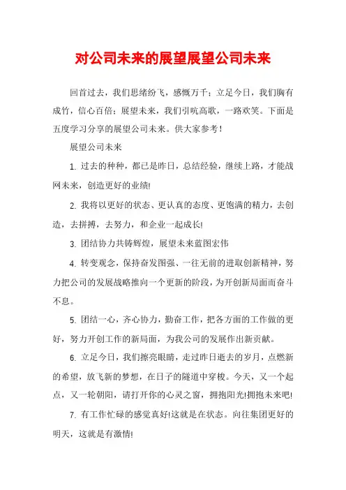 对公司未来的展望展望公司未来