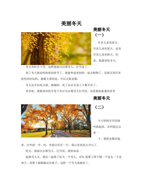美丽冬天(共10篇)