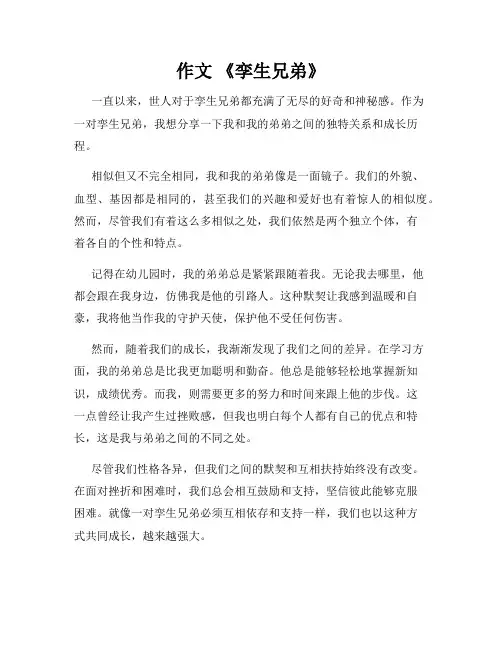 作文 《孪生兄弟》