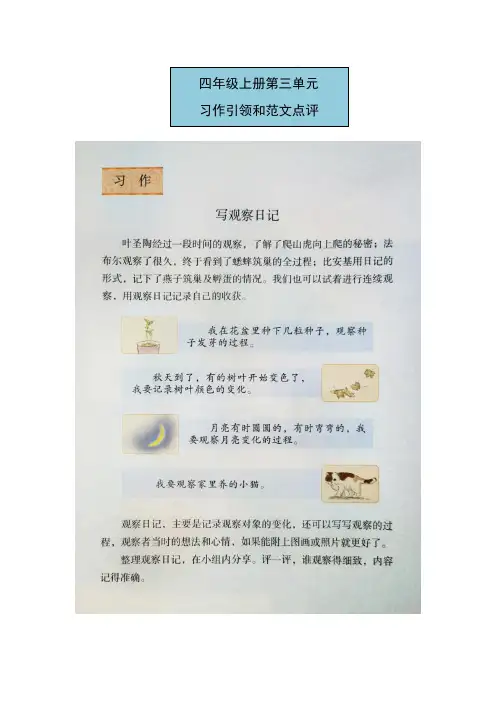 第三单元习作：写观察日记-语文四年级上册(统编版)