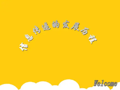 信息传递的发展历程ppt实用资料