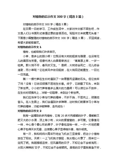 对植物的启示作文300字（精选3篇）
