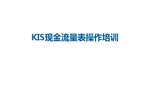 新KIS现金流量表操作培训
