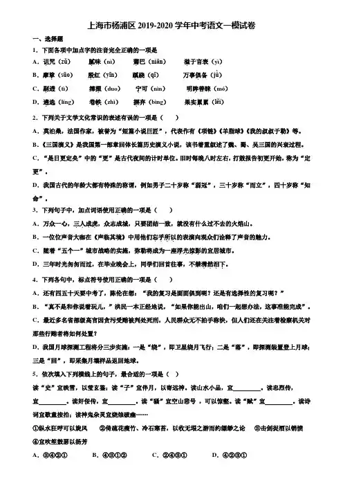 上海市杨浦区2019-2020学年中考语文一模试卷含解析