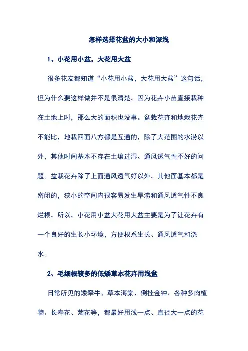 怎样选择花盆的大小和深浅
