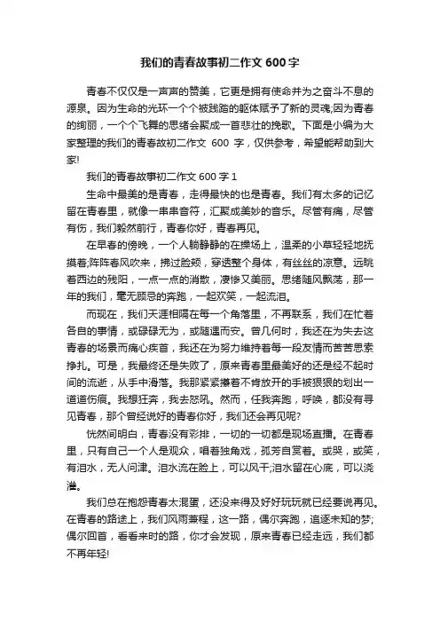 我们的青春故事初二作文600字