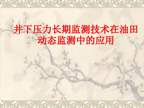 井下压力长期监测技术在油水井动态监测中的应用汇总