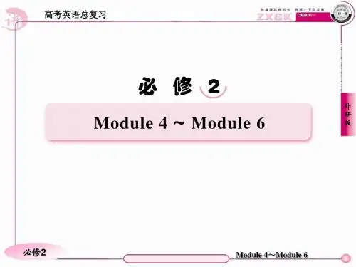 高三英语(外研版)总复习语法课件：专项语法突破(4)冠词