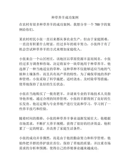 种草养羊成功案例