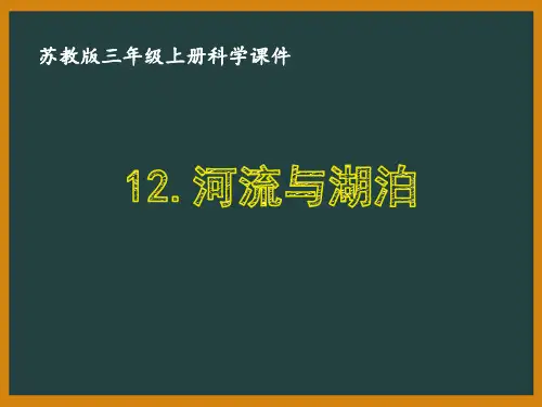 新苏教版三年级科学上册第四单元《地球上的水资源》全部课件(共4课时)