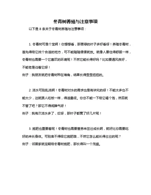 冬青树养殖与注意事项
