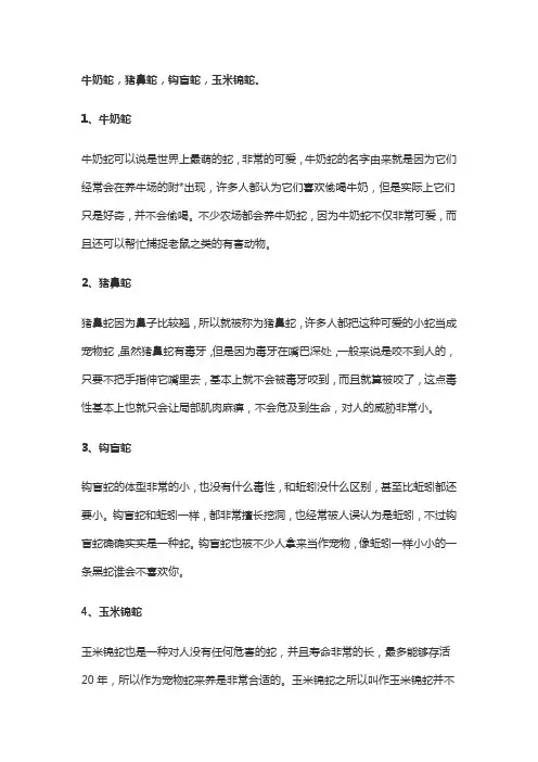 世界上最可爱的蛇
