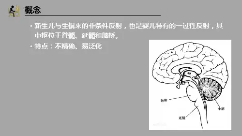 173.1人体发育学课件