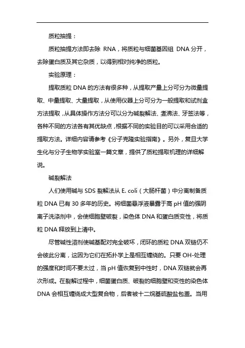 质粒提取试剂盒说明书