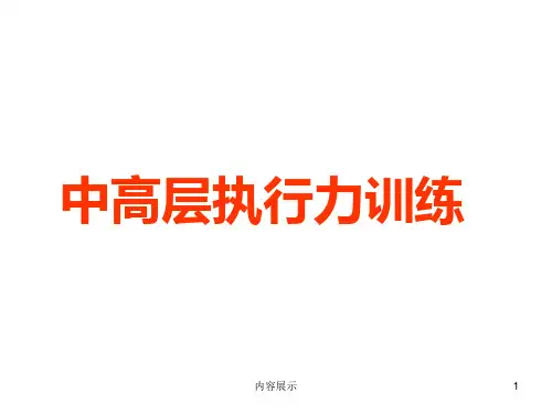 中高层执行力培训资料ppt(专业知识)