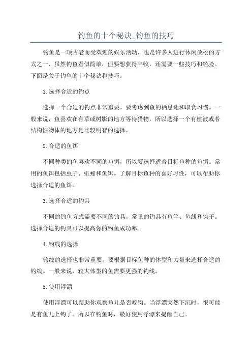 钓鱼的十个秘诀_钓鱼的技巧