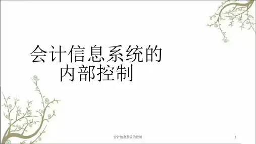 会计信息系统的控制课件