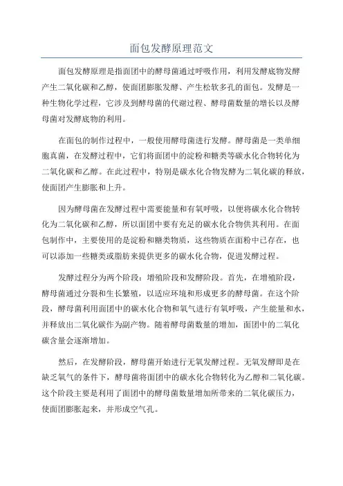 面包发酵原理范文