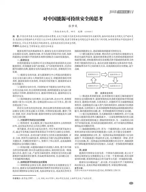 对中国能源可持续安全的思考