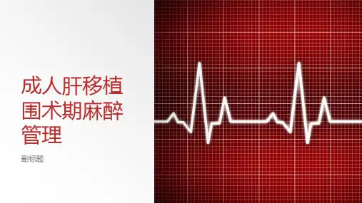 成人肝移植围术期麻醉管理