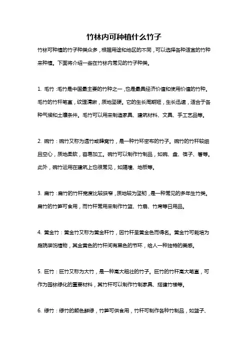 竹林内可种植什么竹子