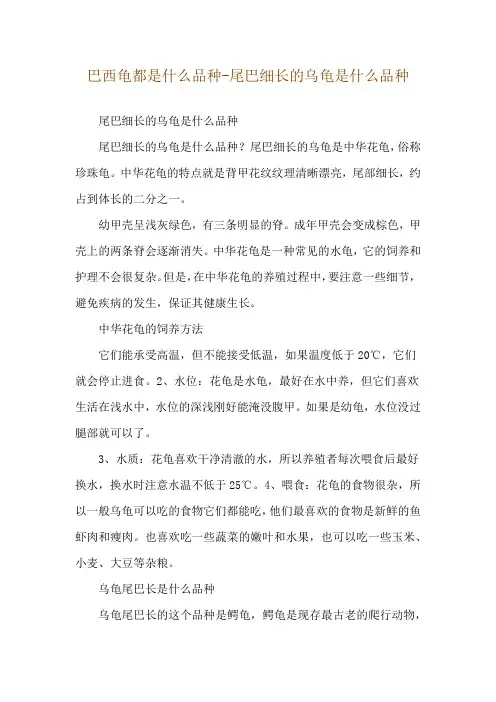 巴西龟都是什么品种-尾巴细长的乌龟是什么品种