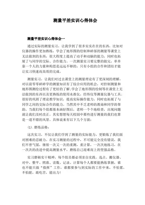 测量平差实训心得体会
