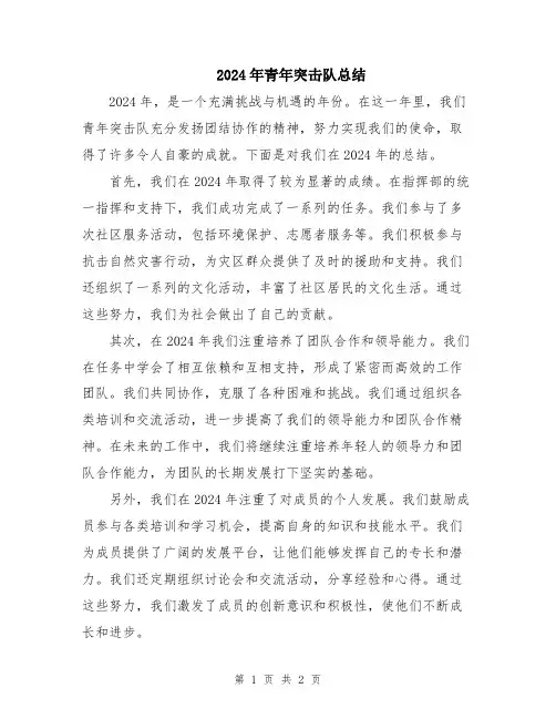 2024年青年突击队总结