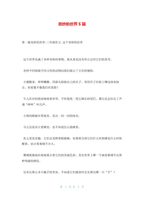 奇妙的世界5篇