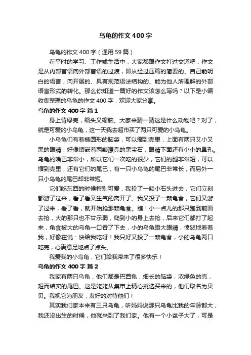 乌龟的作文400字（通用59篇）