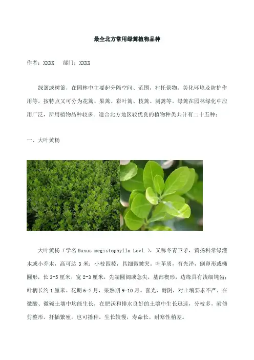 北方常用绿篱植物品种