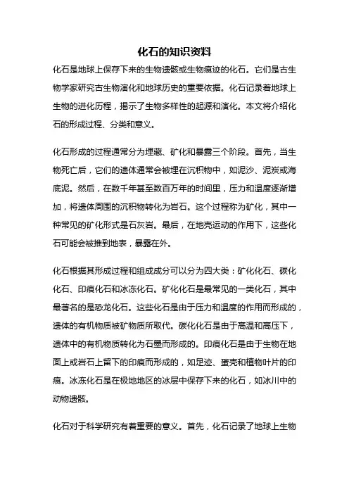 化石的知识资料
