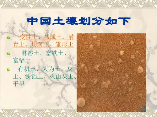 四节土壤类型