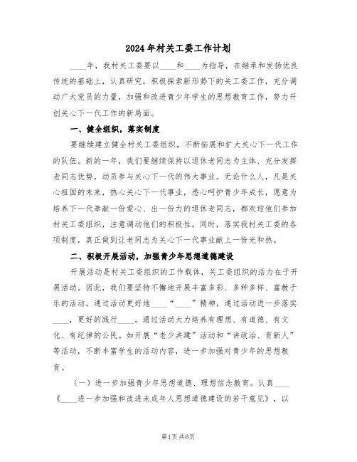 2024年村关工委工作计划（二篇）