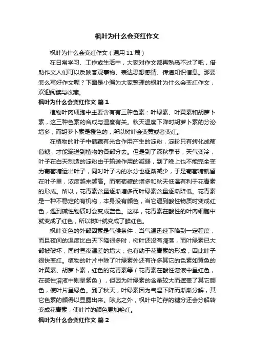 枫叶为什么会变红作文（通用11篇）