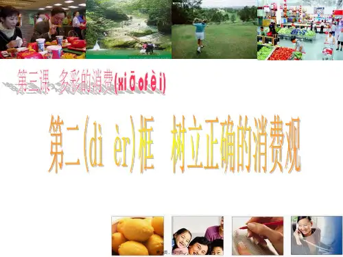 湖南省新田县第一中学高中政治课件必修132树立正确的消费观共20张
