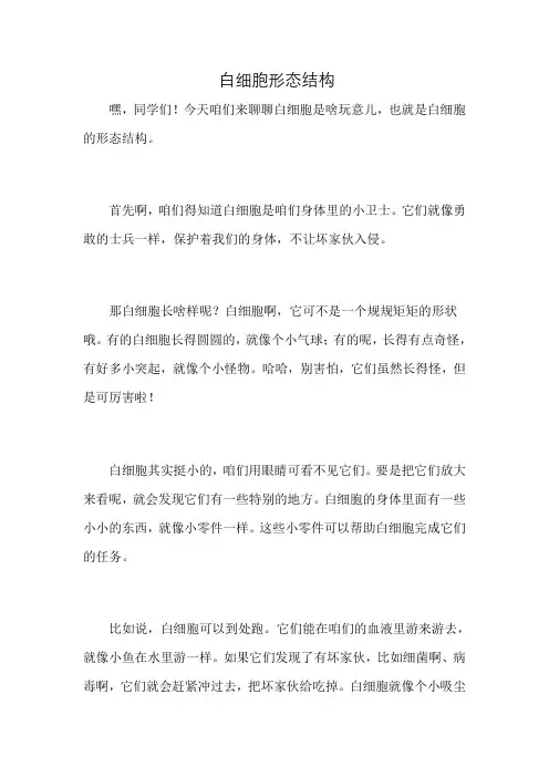 白细胞形态结构
